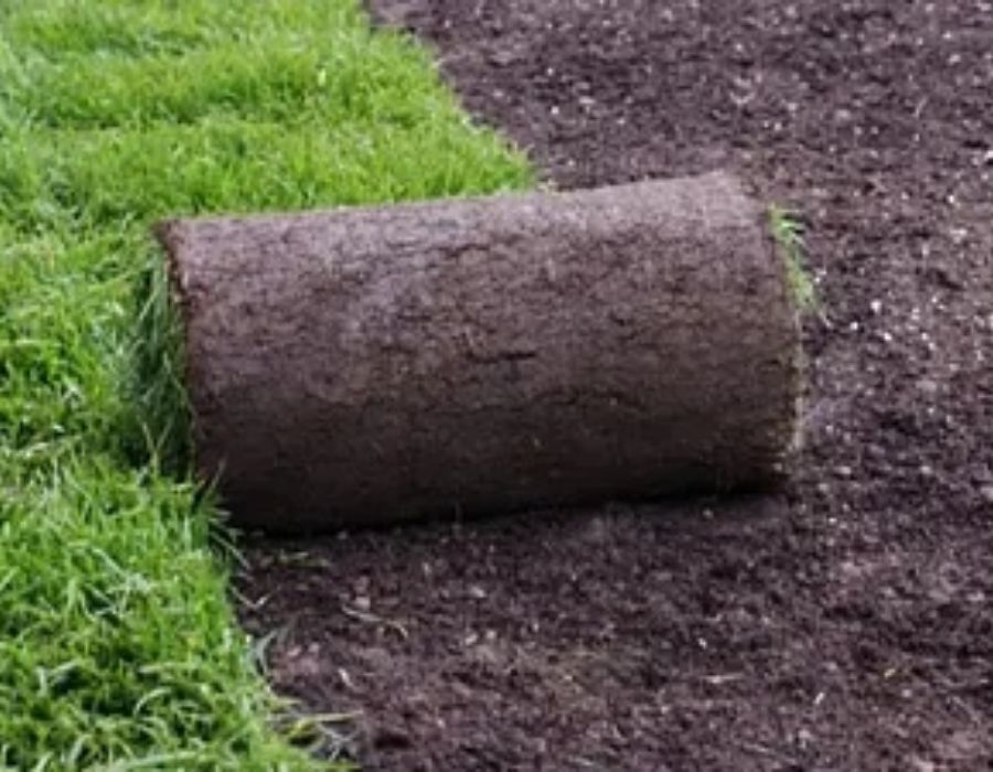 new england turf sod, turf, new lawn, sod installation-190