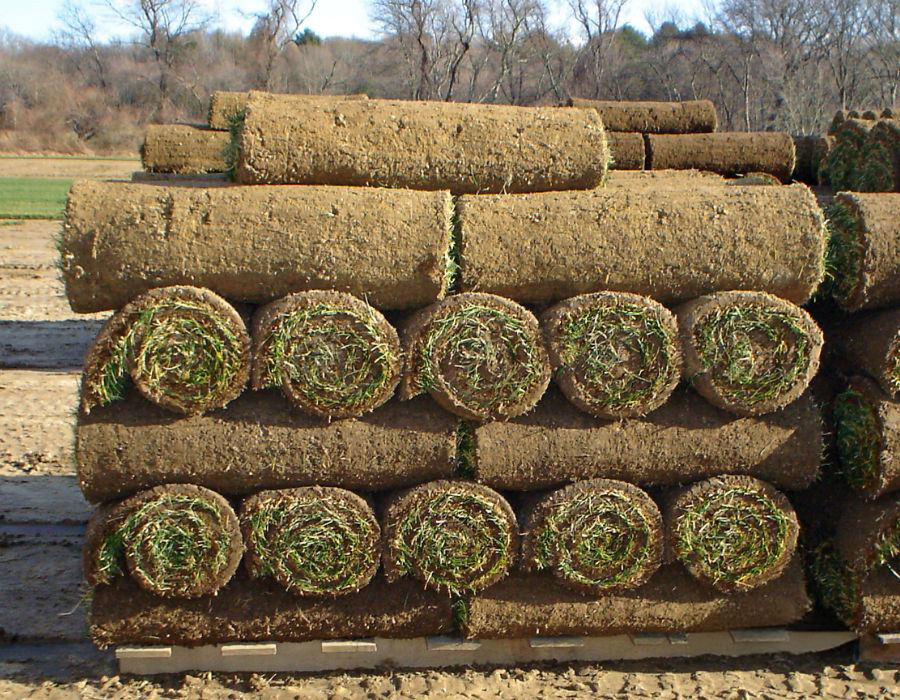 new-england-turf-sod-turf-new-lawn-sod-installation-193